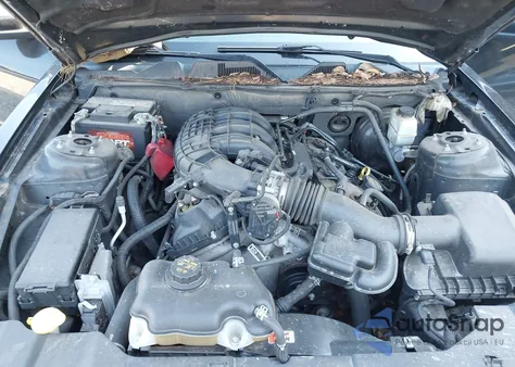 2014 Ford Mustang V6 z USA, uszkodzony, nr VIN 1ZVBP8AM2E5330069